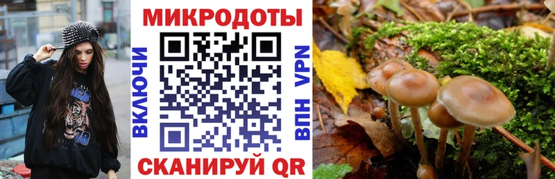 даркнет формула  Апрелевка  Псилоцибиновые грибы MAGIC MUSHROOMS  купить наркотик 